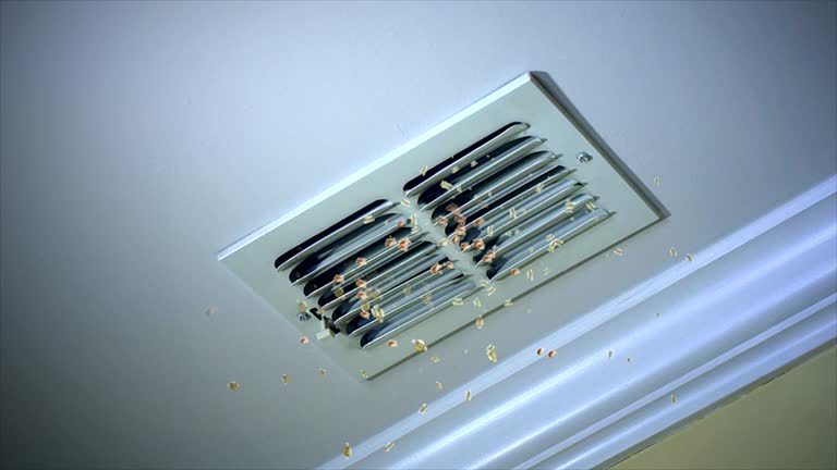 Best HVAC System Cleaning  in Alamo, TX