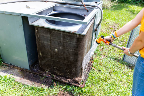 Best Local Air Duct Cleaning Services  in Alamo, TX