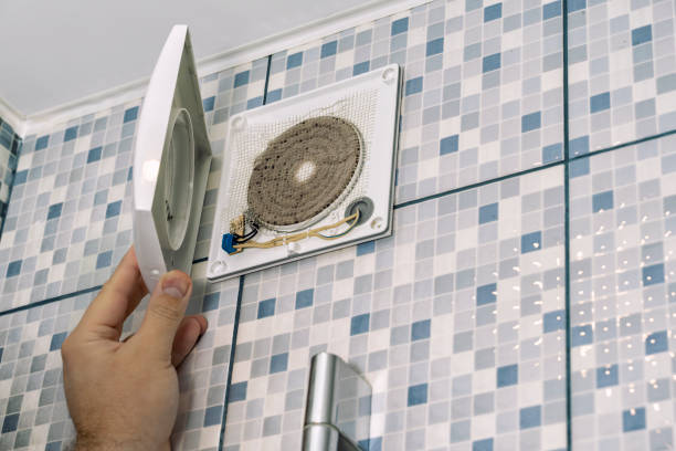 Best Emergency Air Duct Cleaning  in Alamo, TX