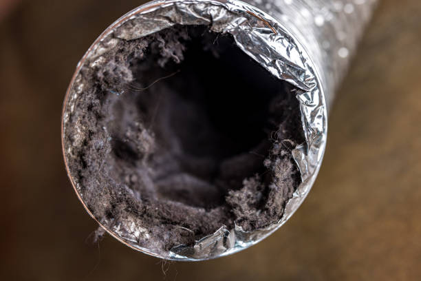 Best Emergency Air Duct Cleaning  in Alamo, TX