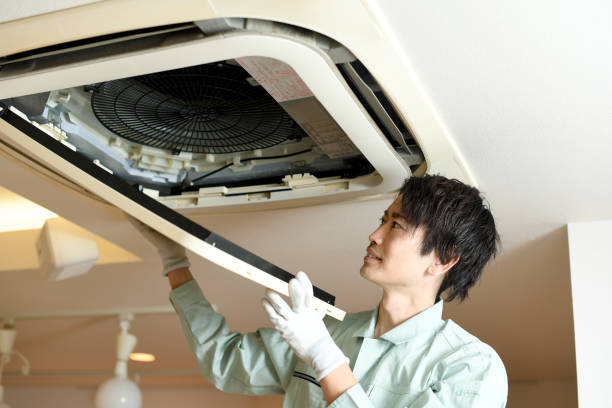 Best Duct Cleaning Specialists  in Alamo, TX