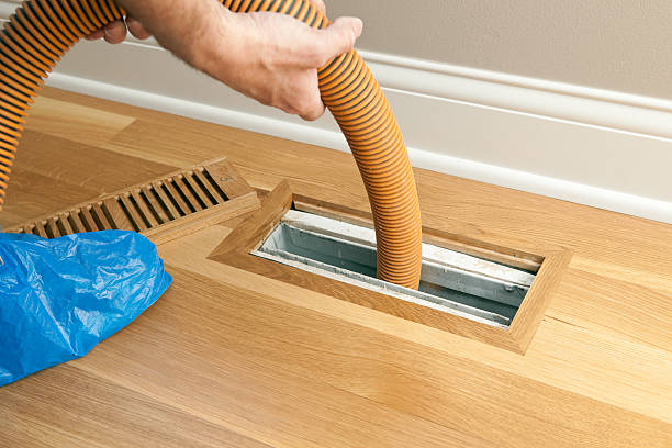 Best Air Duct Cleaning Company Near Me  in Alamo, TX