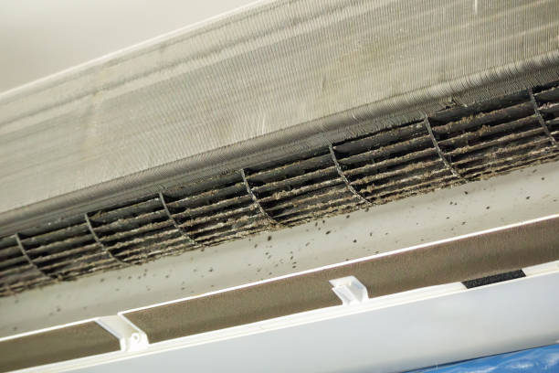 Best Ventilation Cleaning Services  in Alamo, TX